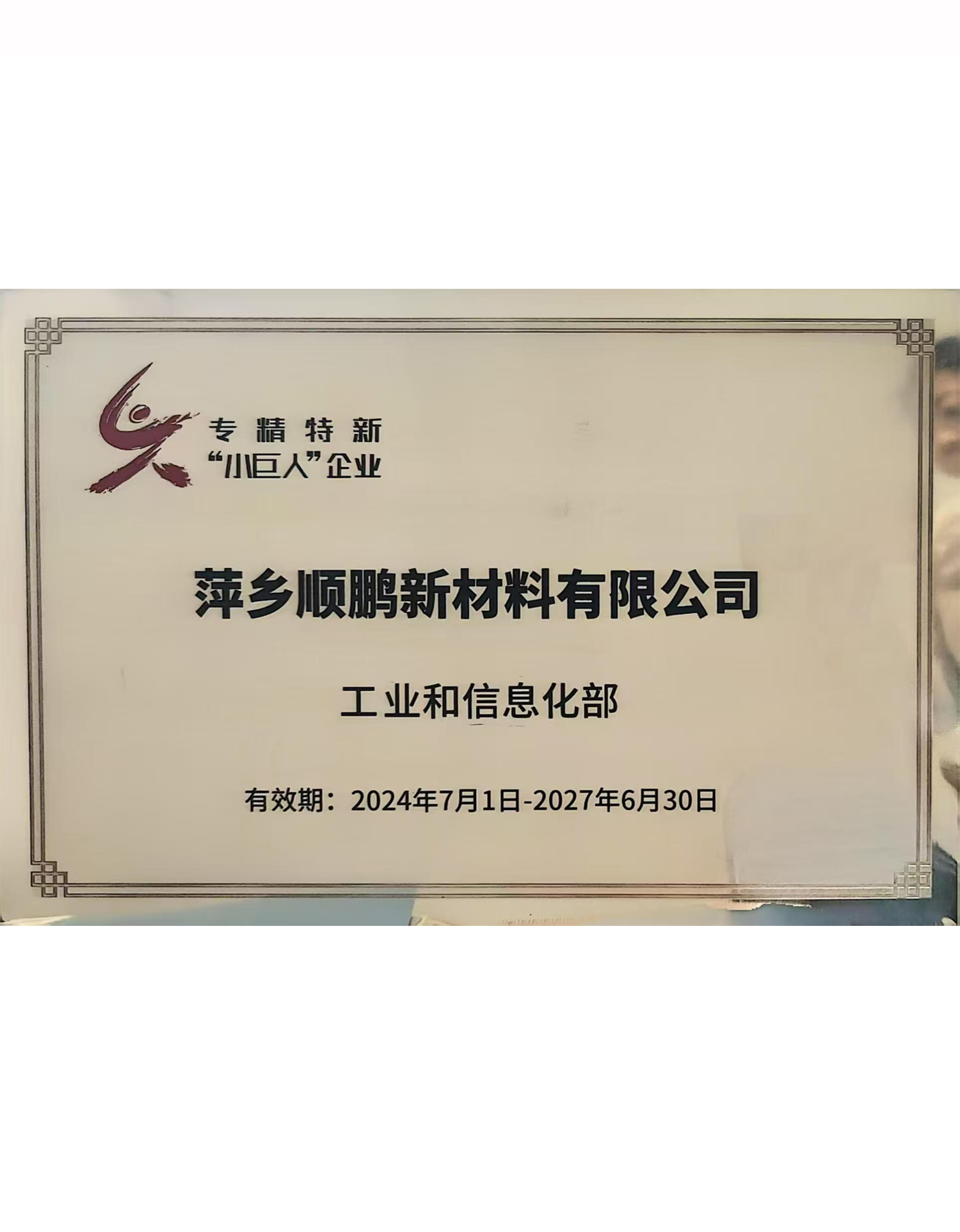 國家專精特新小巨人企業